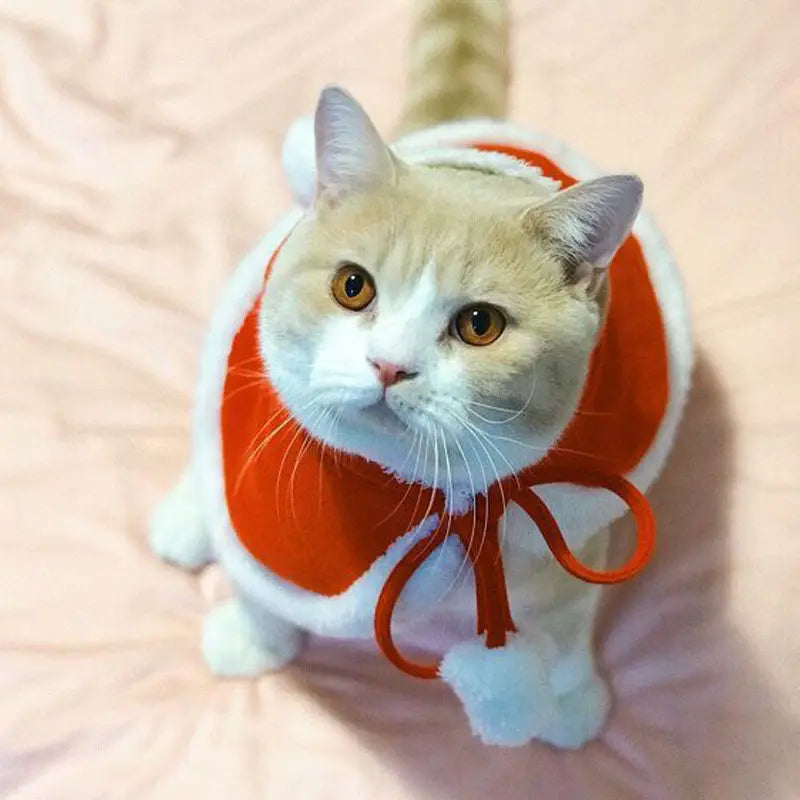 Christmas Cotton Cat Sweater