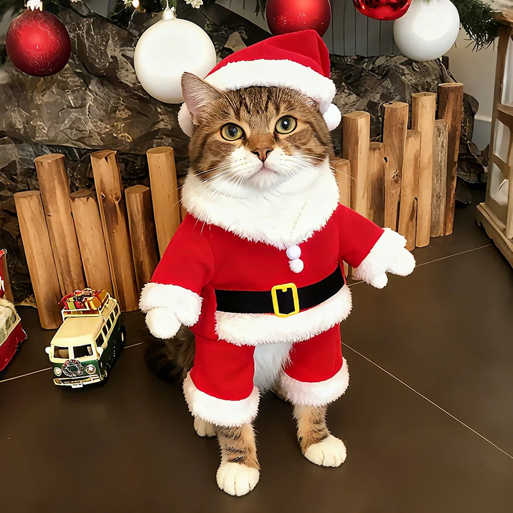 Holiday Costume for Cats & Small Dogs