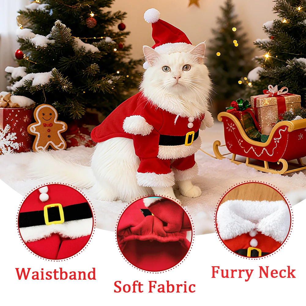 Holiday Costume for Cats & Small Dogs