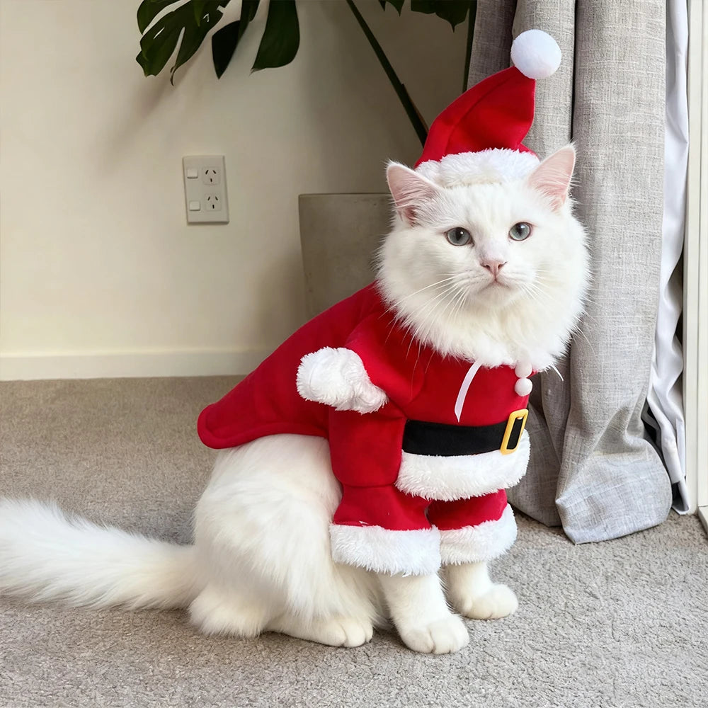 Holiday Costume for Cats & Small Dogs