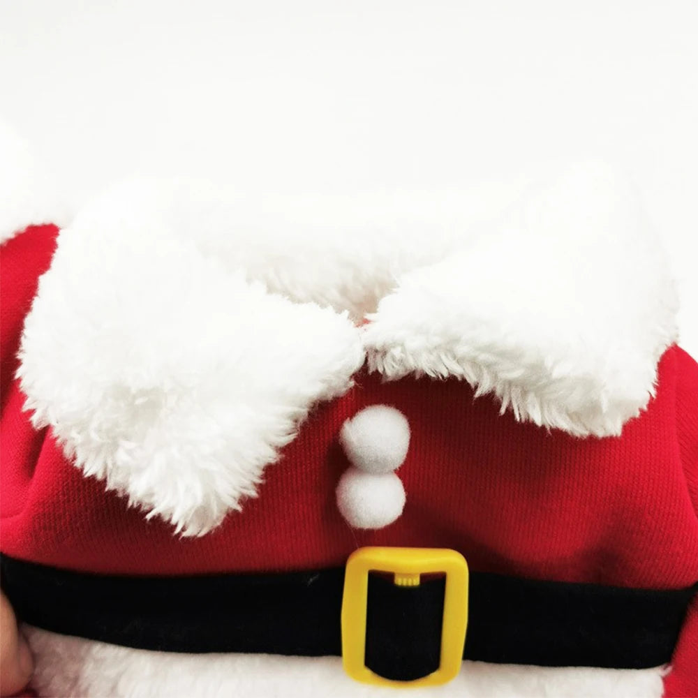 Holiday Costume for Cats & Small Dogs